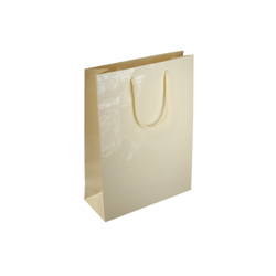 Small Cream Paper Gift Bag